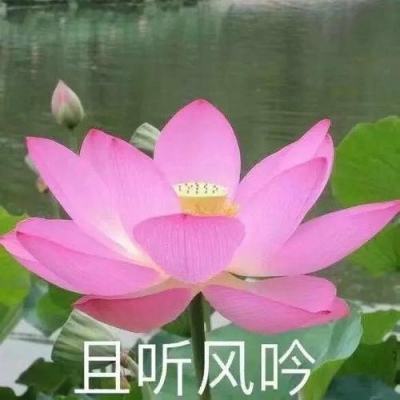 青海果洛借 “青超联赛” 拓展“果洛好物”销售渠道